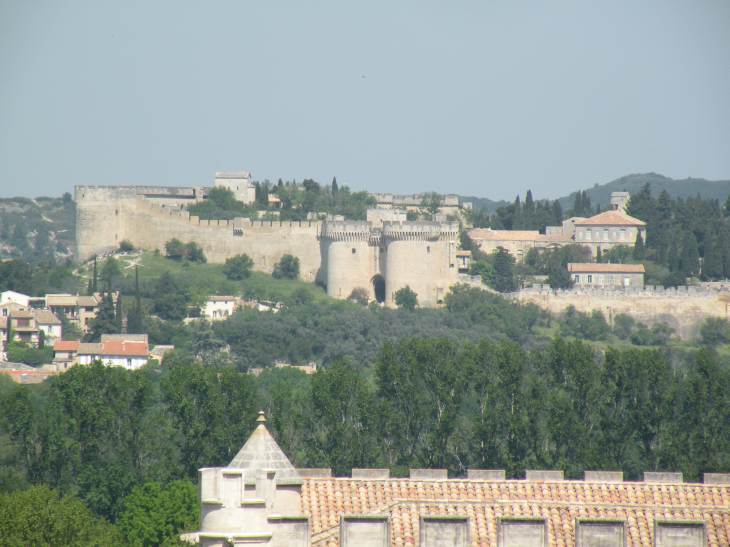  Fort Saint-André (Villeneuve-lez-Avignon)